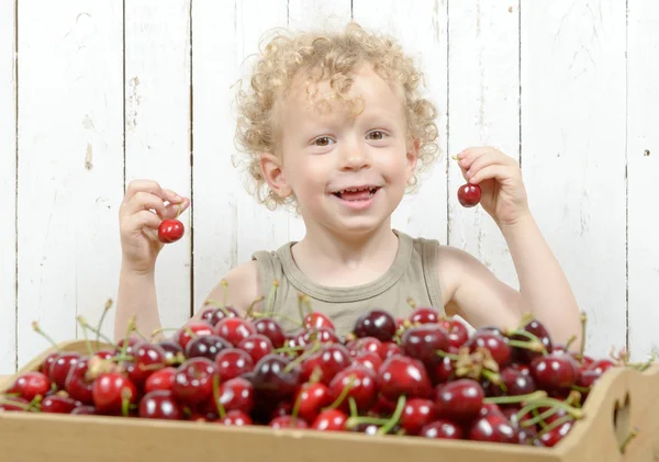 Malý Plavovlasý chlapec hraje s třešněmi — Stock fotografie