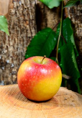 ahşap bir parça üzerinde elma