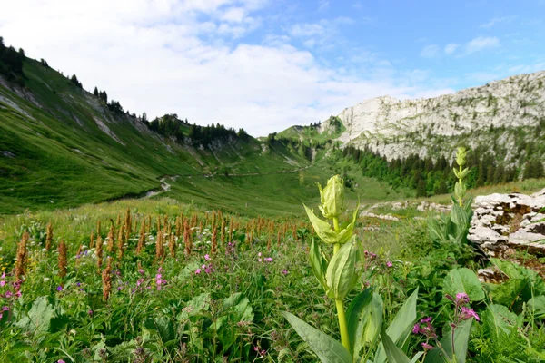 Berglandschaft mit blauem Himmel — Stockfoto