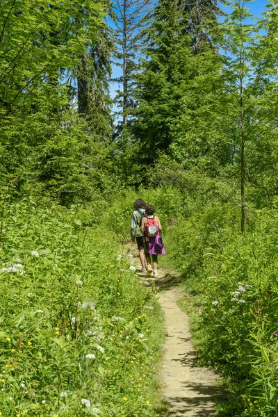 Dva turisté procházející se v horách — Stock fotografie