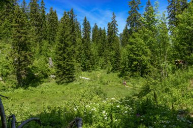 Two women hikers walking in the mountains