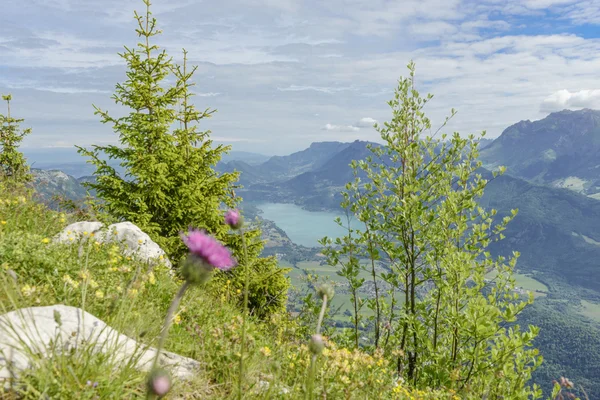 Blick auf den See Annecy in den französischen Alpen — Stockfoto