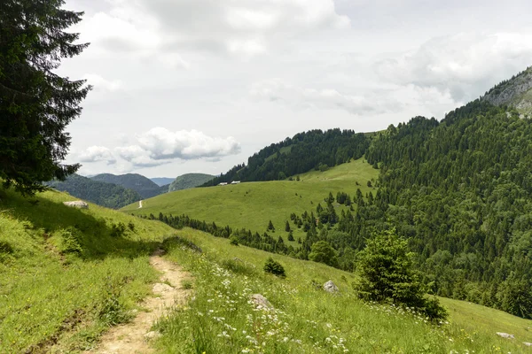 Berg mit blauem Himmel und kleinen Wolken — Stockfoto