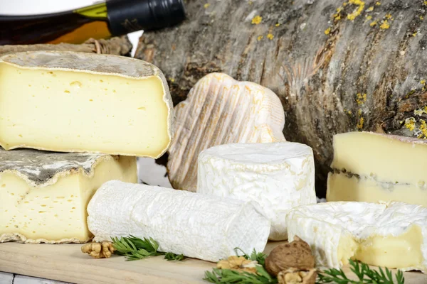 Different french cheeses — Stock Photo, Image