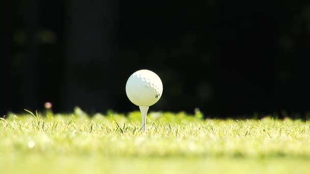 Close-up of golfer getting into stance and teeing off with driver. — Stock Video