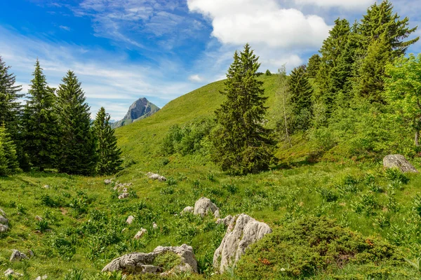 Alp dağ manzarası — Stok fotoğraf