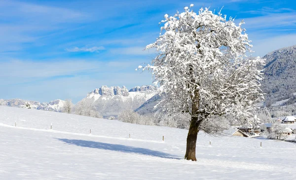 Berglandschap in de winter met sneeuw — Stockfoto