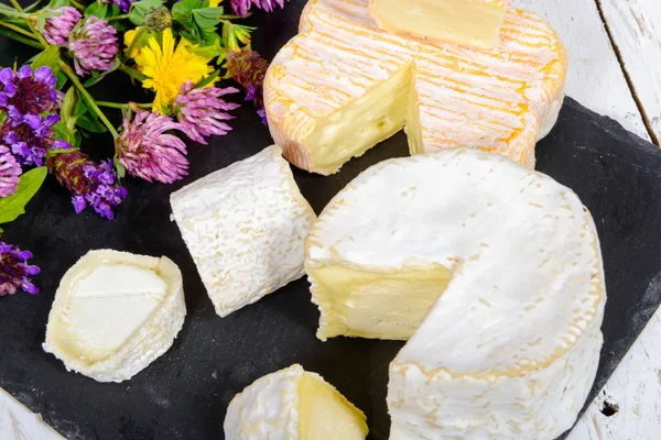 블랙 슬레이트와 꽃에 치즈 프랑스 — 스톡 사진