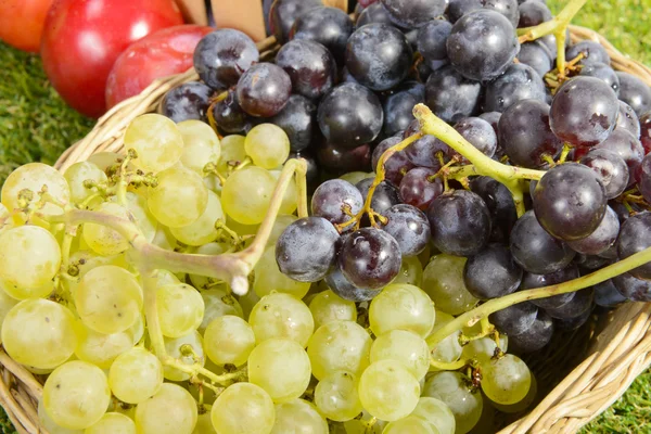 Primer plano de uvas blancas y negras — Foto de Stock