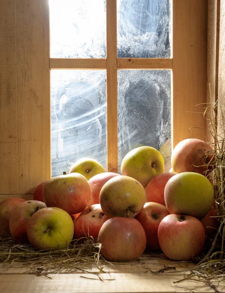 Μηλίτη μήλων σε μια σιταποθήκη — Φωτογραφία Αρχείου