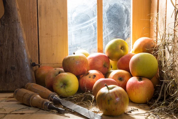 Manzanas de sidra en un granero — Foto de Stock