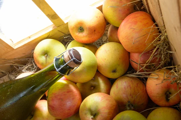 Μπουκάλι μηλίτη με μήλα — Φωτογραφία Αρχείου