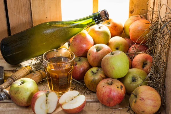 Botella y vaso de sidra con manzanas —  Fotos de Stock