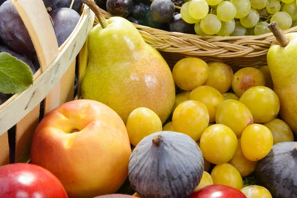 Diferentes frutas de temporada, ciruelas, peras, uvas — Foto de Stock