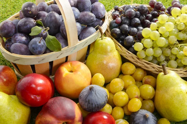 Diferentes frutas de temporada, ciruelas, peras, uvas — Foto de Stock