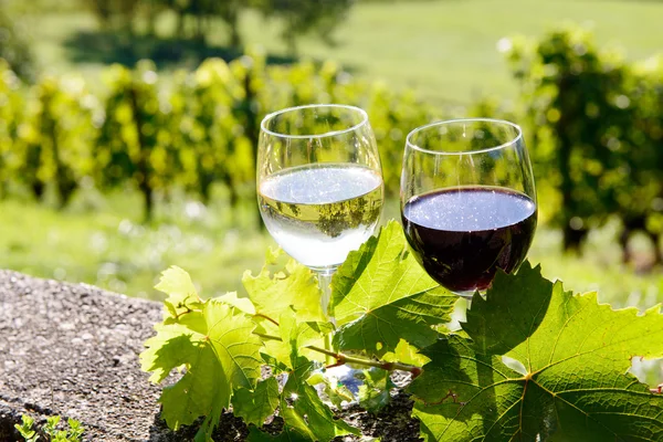 Brýle, červené a bílé víno s vinicí v pozadí — Stock fotografie