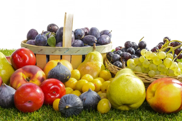 Diferentes frutas de temporada, ciruelas, peras, uvas — Foto de Stock