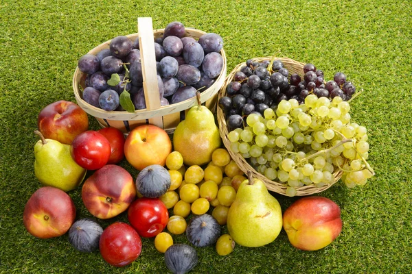 Diferentes frutas de temporada, ciruelas, peras, uvas — Foto de Stock