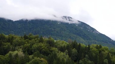 Bulutlu bir gökyüzü ile dağ sırası. Bulutlar beyaz ve kabarık. Ağaçlar yeşil ve yemyeşil.