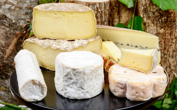 Tray with different French cheeses — Stock Photo, Image