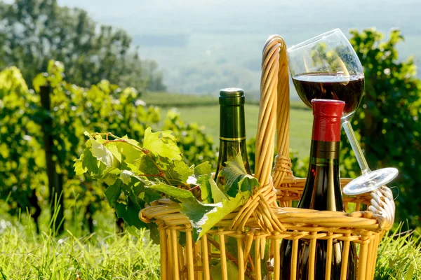 Košík láhve a sklenice červeného vína vinicích — Stock fotografie