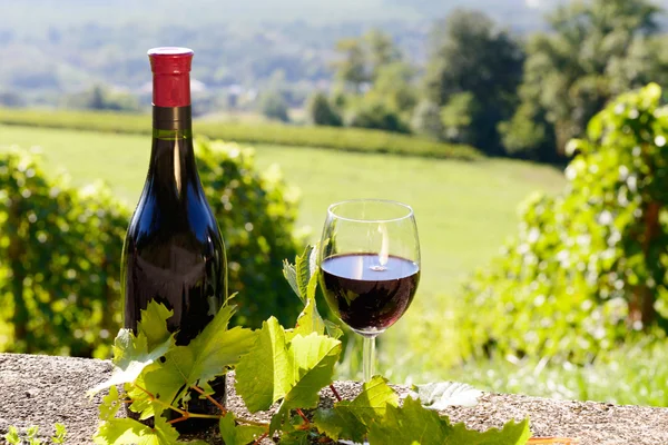 Láhev a sklenice červeného vína, na vinici pozadí — Stock fotografie