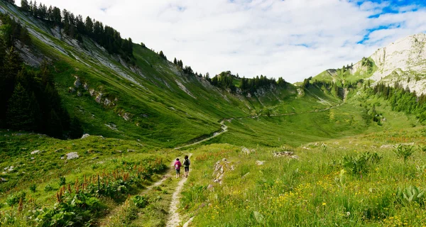 Wanderinnen auf einem Wanderweg in den französischen Alpen — Stockfoto