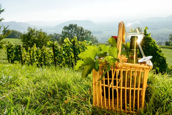 Košík láhve a sklenky bílého vína vinicích — Stock fotografie