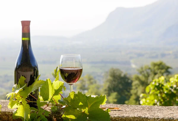 Ένα μπουκάλι και ένα ποτήρι κόκκινο κρασί, σε φόντο αμπελώνα — Φωτογραφία Αρχείου