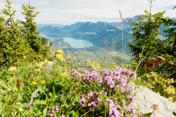 Berglandschaft mit See in den Alpen — Stockfoto