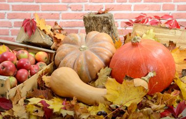 kabaklar kırmızı elmalı üzerinde sonbahar yaprakları