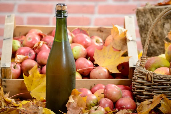 Flasche und Glas Apfelwein mit Äpfeln — Stockfoto