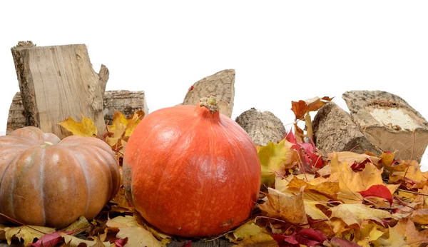 Varias calabazas con hojas de otoño en blanco —  Fotos de Stock