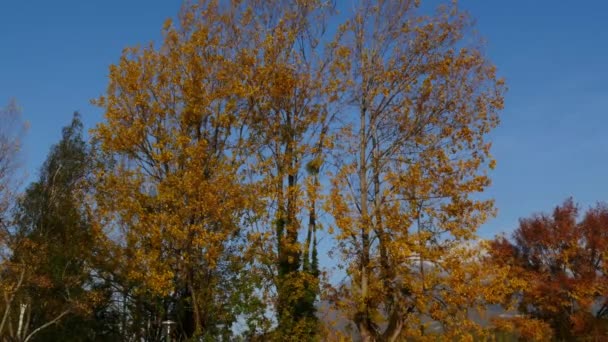 Krásná podzimní scény v horách Alp — Stock video