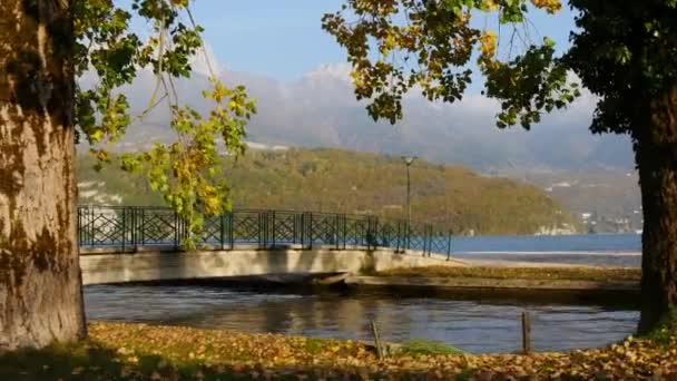 Im Herbstpark mit kleiner Brücke für Spaziergänger — Stockvideo