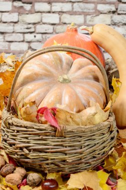 sonbahar yaprakları üzerinde birkaç kabaklar 