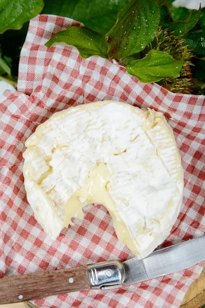 Camembert de Normandie auf einer Tischdecke — Stockfoto