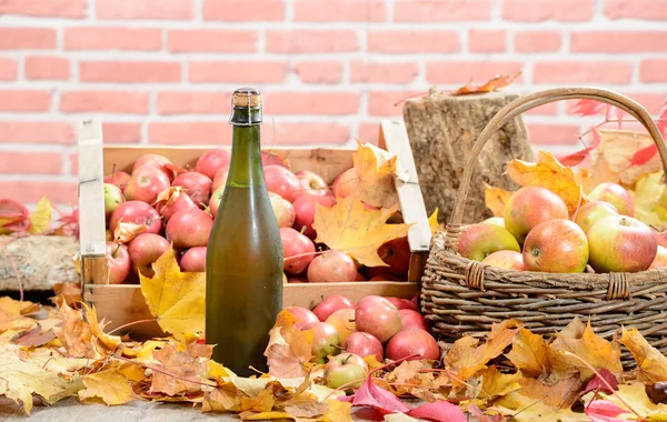 Eine Flasche normannischer Cider mit vielen Äpfeln — Stockfoto