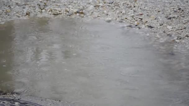 Regn i en pöl av vatten — Stockvideo