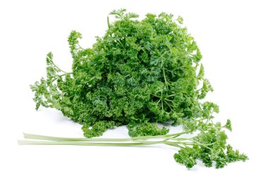 Beyaz arkaplanda izole edilmiş bir maydanoz demeti