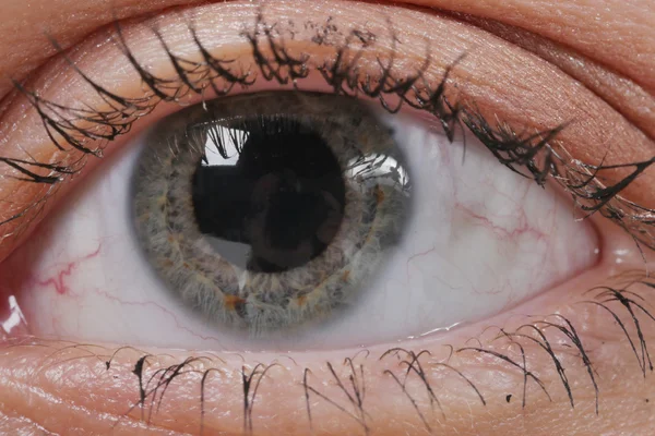 Macro des yeux. Œil de femme. Macro image de l'œil humain . — Photo