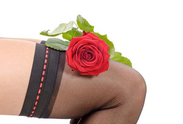 Sexy femme jambes avec une rose rouge — Photo