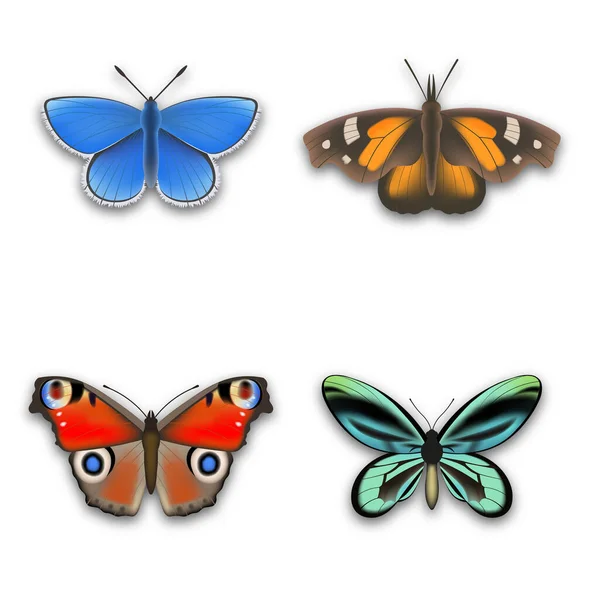 Set Van Kleurrijke Vlinders Illustratie — Stockvector