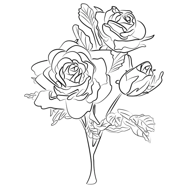Vektorskizze schwarz-weiße Rose — Stockvektor