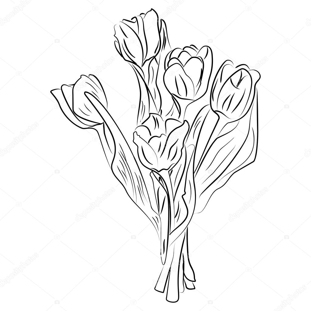 Tulipes de dessin vectoriel encre noir et blanc — Image vectorielle