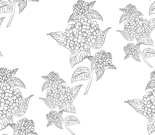 Seamless pattern black and white hydrangea flowers