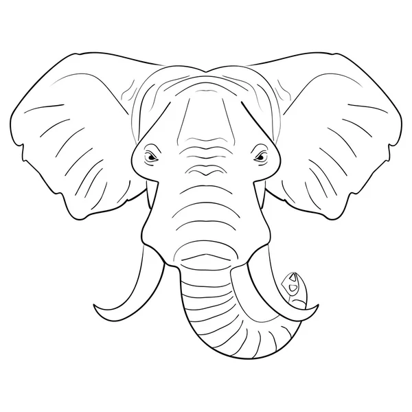 黑色和白色大象脸绘制的墨迹素描 — 图库矢量图片