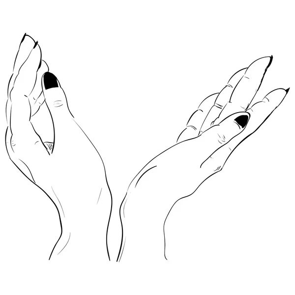 Indah perempuan dua pasangan tangan terbuka. vektor Stok Ilustrasi 