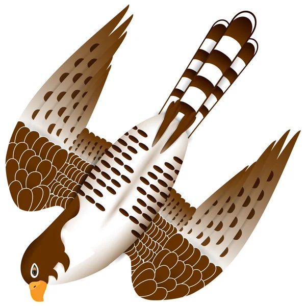 Falke im Flug — Stockvektor