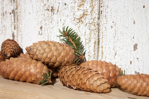 Three pine cones on the white snow. Winter fir cones on a blurry background.